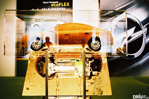 ecoflex11
