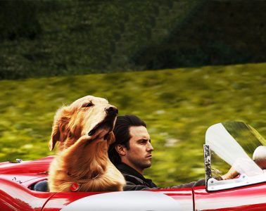 the-air-of-racing-in-the-rain