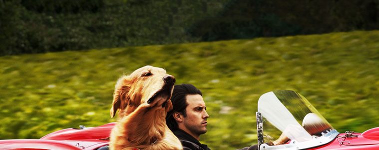 the-air-of-racing-in-the-rain