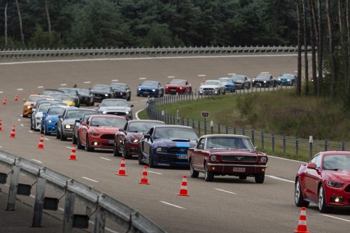 2019_ford_mustang_1001_parade_17